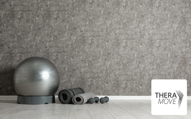 TheraMove Physiotherapie Fallbeispiele Gymnastikraum