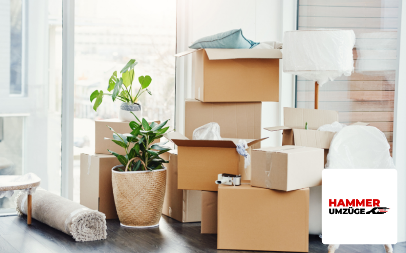 Hammer Umzüge Fallbeispiel, Umzugskartons Bild Dortmund